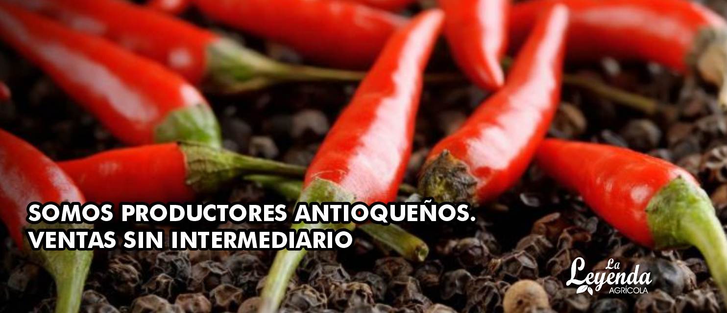 Siempre Frescos Directos del Campo