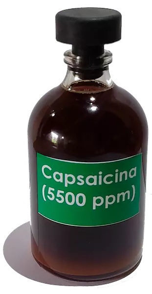 Capsaicina Liquida Pura: 5500 Ppm