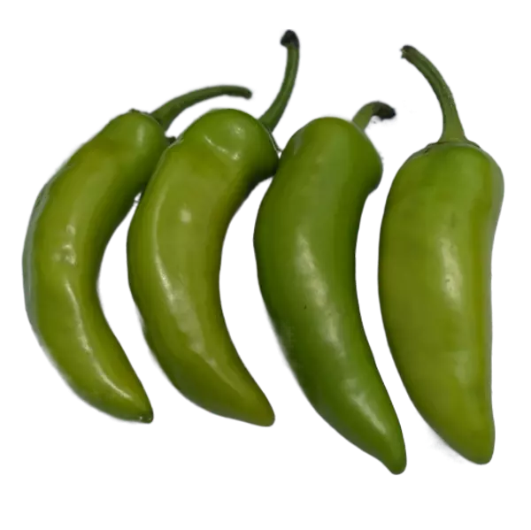 Chile Banana - Xcatic