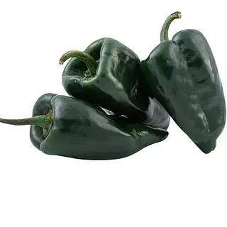 Chile Poblano