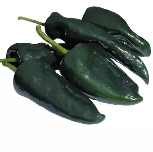 Chile Poblano