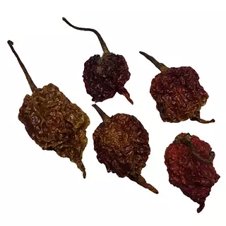 Carolina Reaper - Seco