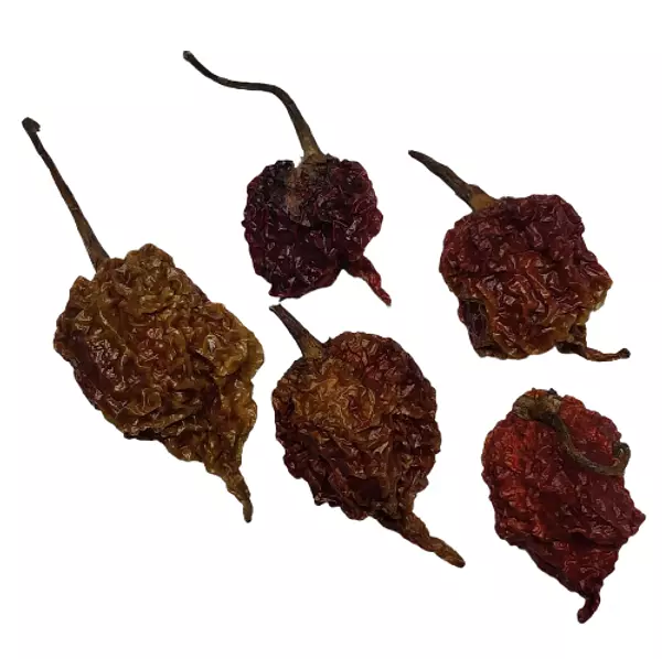 Carolina Reaper - Seco