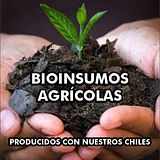 Procesados con nuestros chiles 