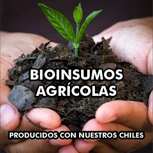 Procesados con nuestros chiles 