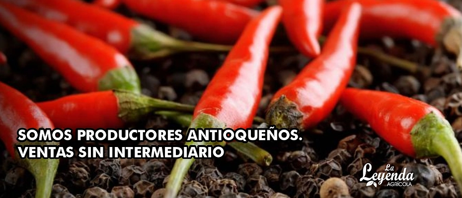 Siempre Frescos Directos del Campo