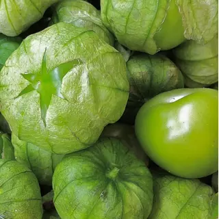 Tomatillo X Kilo, En Capacho - Seleccionado