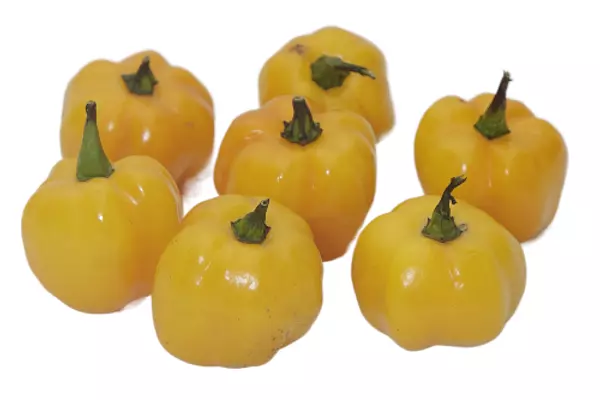 Habanero Caribe Amarillo