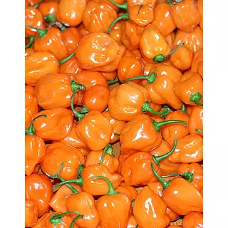 Habanero Naranja