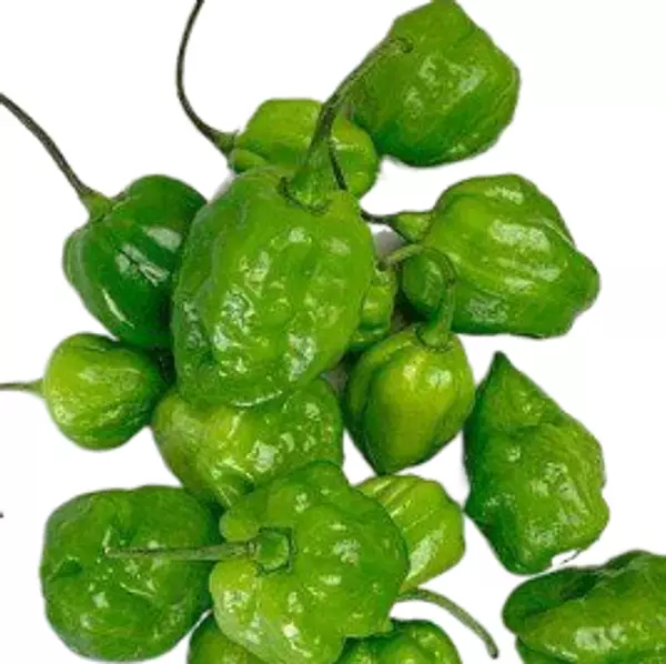 Habanero Verde