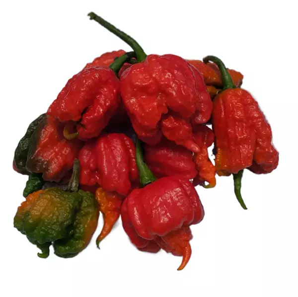 Carolina Reaper