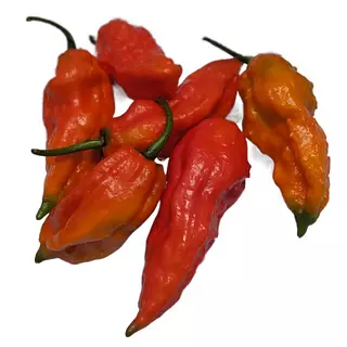 Bhut Jolokia Ghost - Fantasma