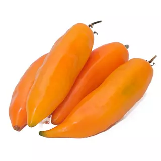 Aji Amarillo - (Peruano)