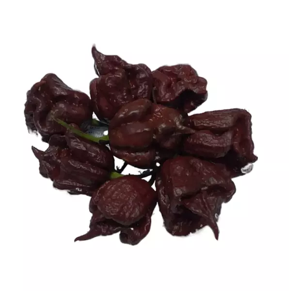 Carolina Reaper Chocolate